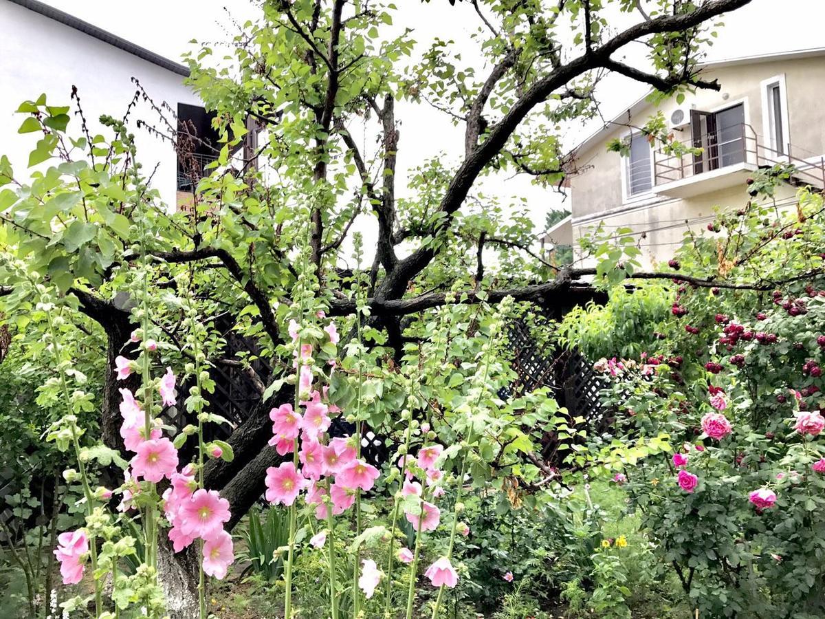 Akvitaniya Mini-Hotel ซาโตกา ภายนอก รูปภาพ