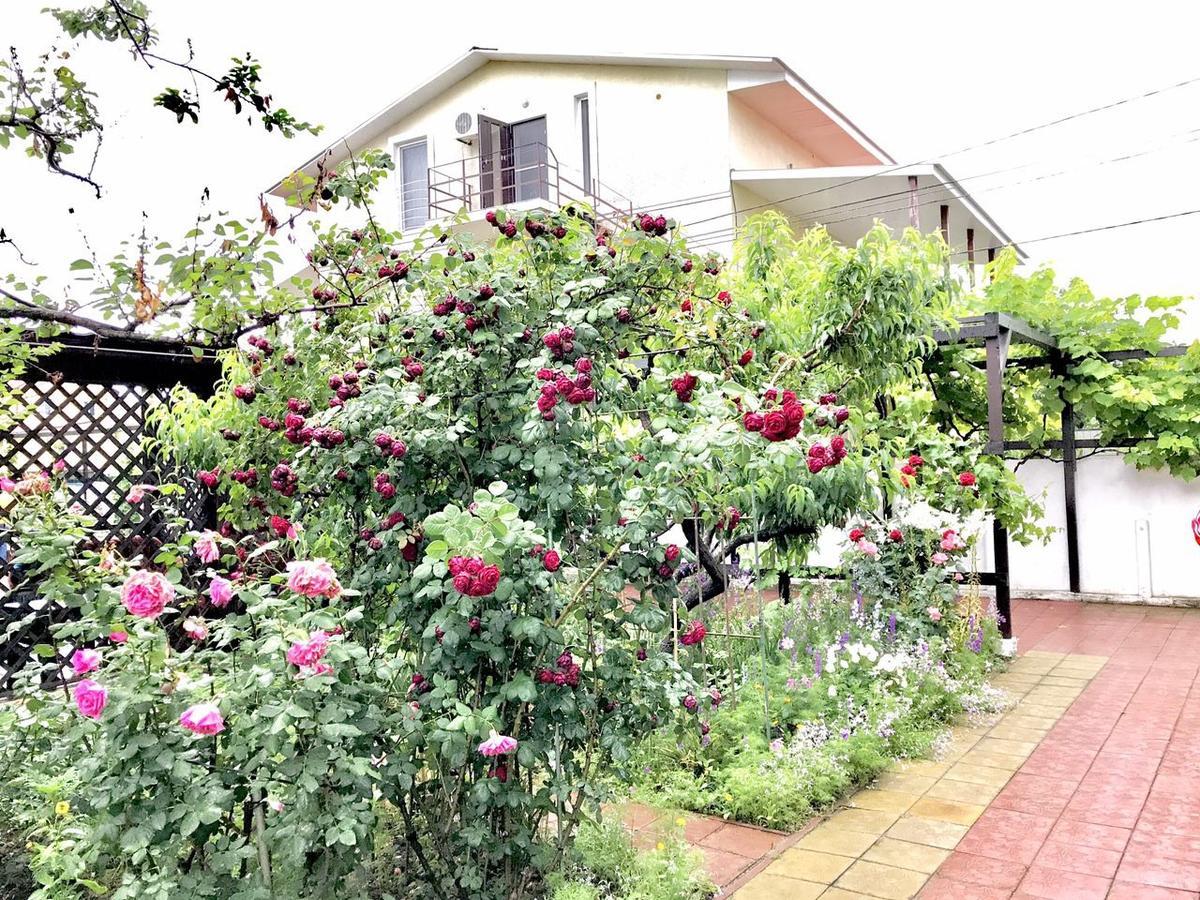 Akvitaniya Mini-Hotel ซาโตกา ภายนอก รูปภาพ